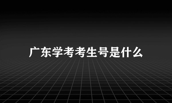 广东学考考生号是什么