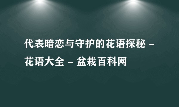 代表暗恋与守护的花语探秘 - 花语大全 - 盆栽百科网