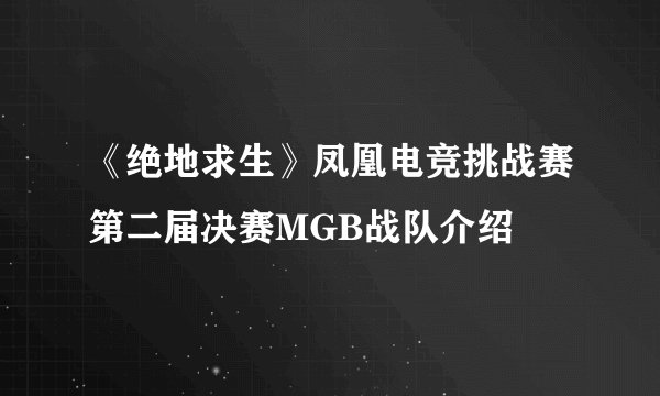 《绝地求生》凤凰电竞挑战赛第二届决赛MGB战队介绍