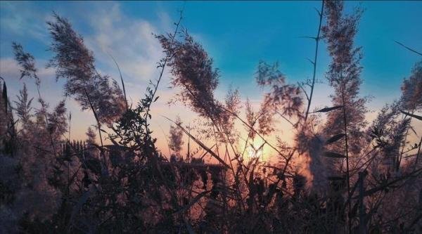 农历四月廿七是“吉日”，无论多忙，提醒：1不做，2不去，吃3样