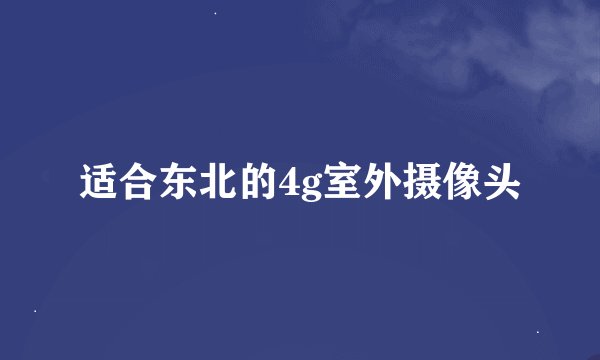 适合东北的4g室外摄像头