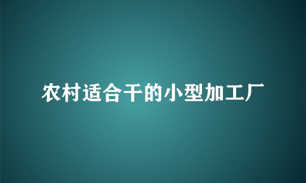 农村适合干的小型加工厂