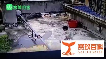 继沈阳男孩接连8次放火烧楼后，广西一13岁男孩又再次“作案”