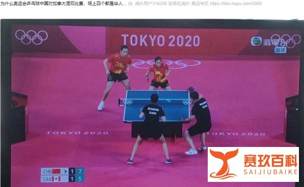“河北省加拿大队”国外乒乓选手竟是华人!自雇移民成为这些优秀选手的最佳出路