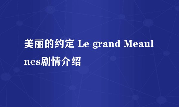 美丽的约定 Le grand Meaulnes剧情介绍