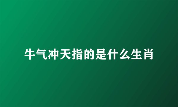 牛气冲天指的是什么生肖