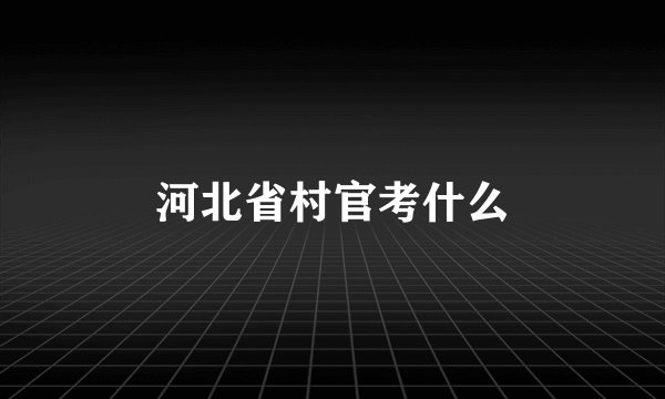 河北省村官考什么