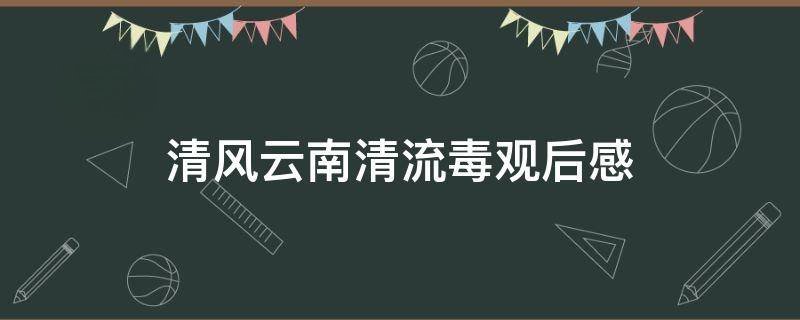 清风云南清流毒观后感