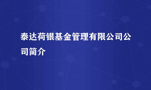 泰达荷银基金管理有限公司公司简介