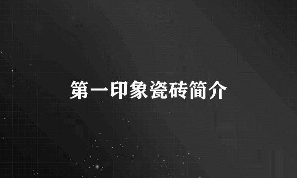 第一印象瓷砖简介