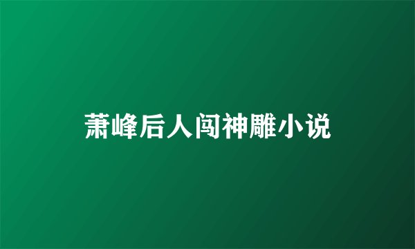 萧峰后人闯神雕小说