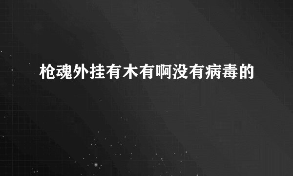 枪魂外挂有木有啊没有病毒的