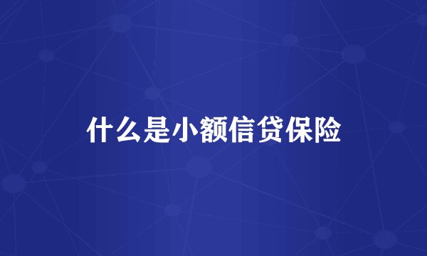 什么是小额信贷保险