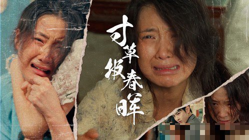 春晖剧情简介40集