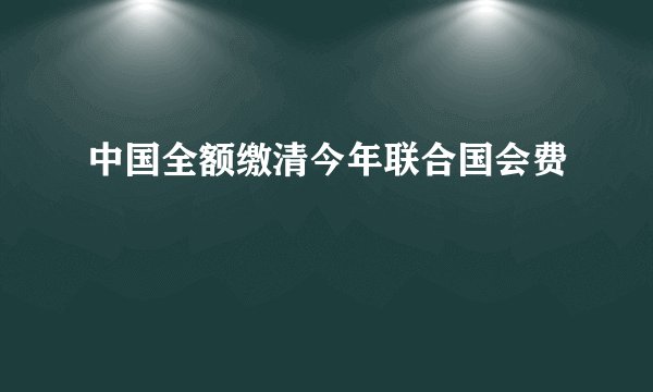 中国全额缴清今年联合国会费