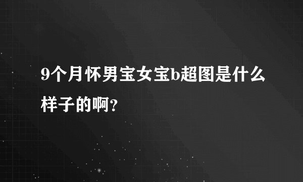 9个月怀男宝女宝b超图是什么样子的啊？