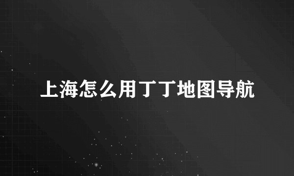 上海怎么用丁丁地图导航