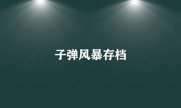 子弹风暴存档
