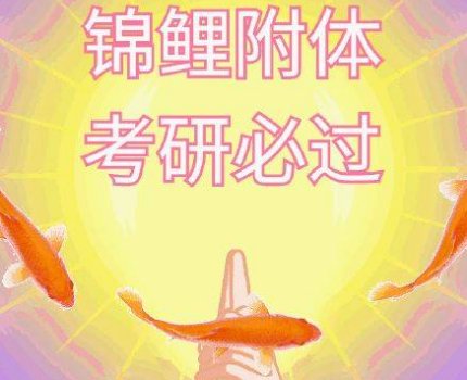 山西新娘婚礼当天收到硕士录取通知书，当时她的心情是怎样的？