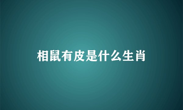 相鼠有皮是什么生肖