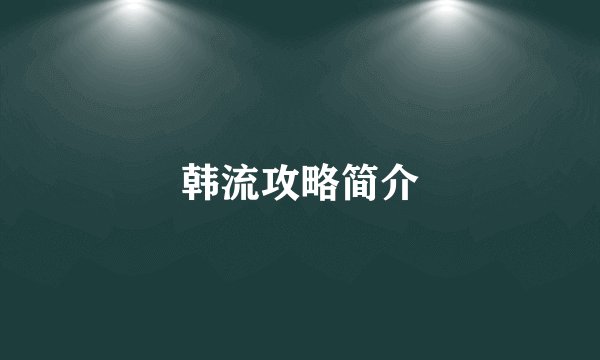 韩流攻略简介