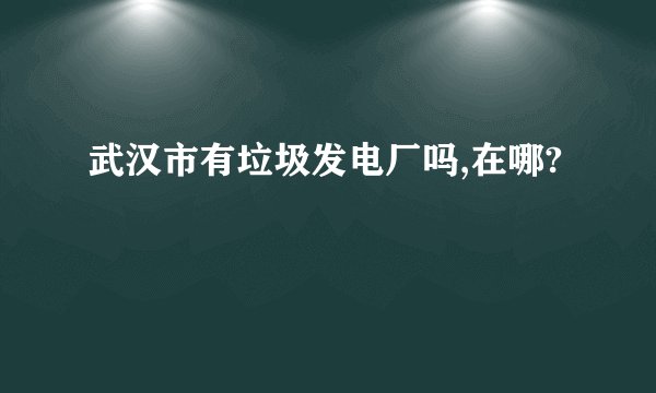 武汉市有垃圾发电厂吗,在哪?