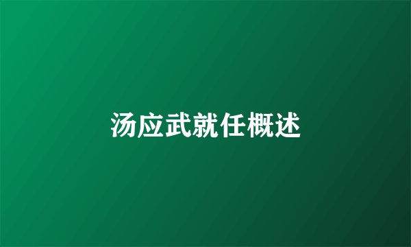 汤应武就任概述