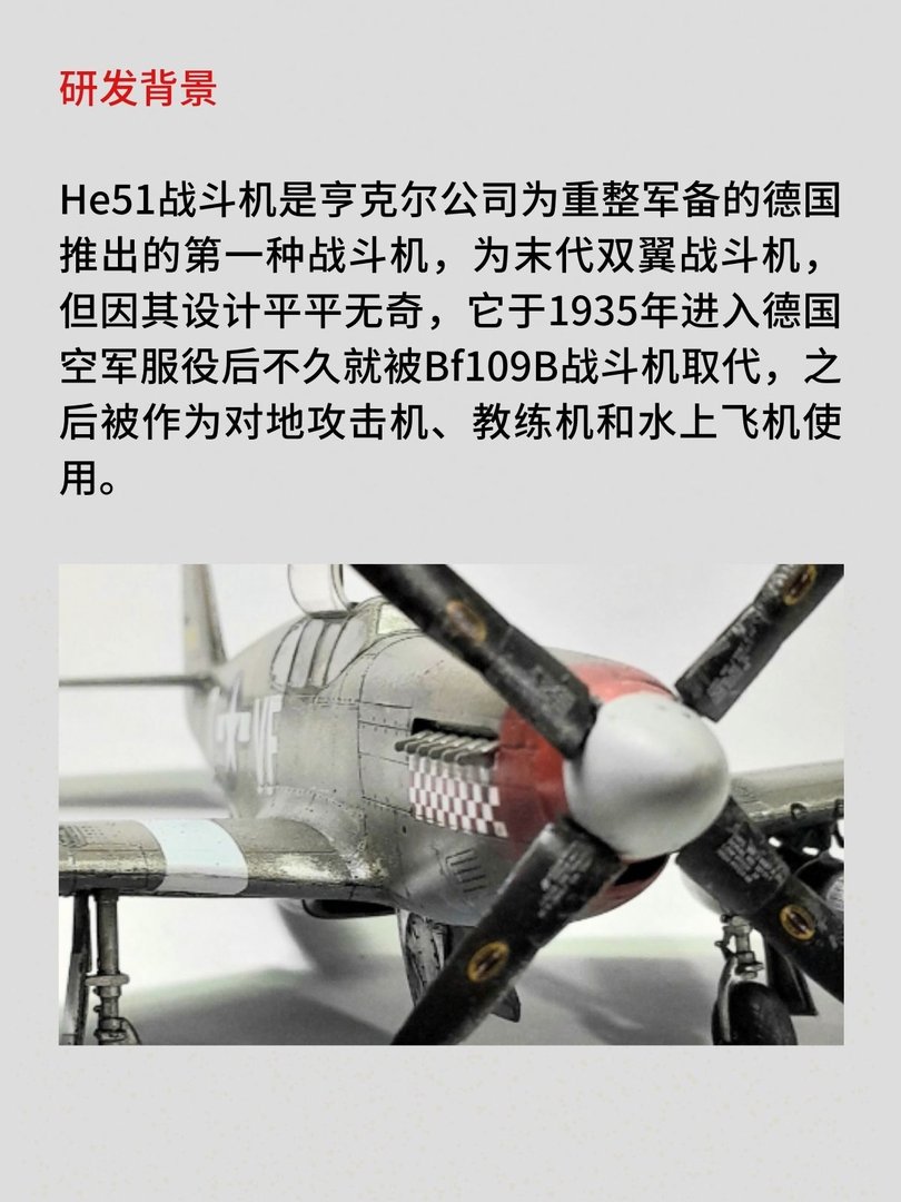 He 51 战斗机[德]