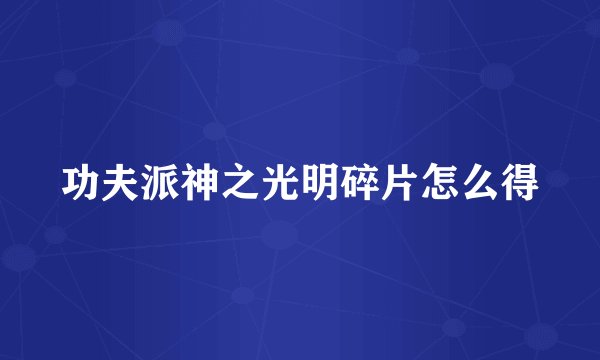 功夫派神之光明碎片怎么得
