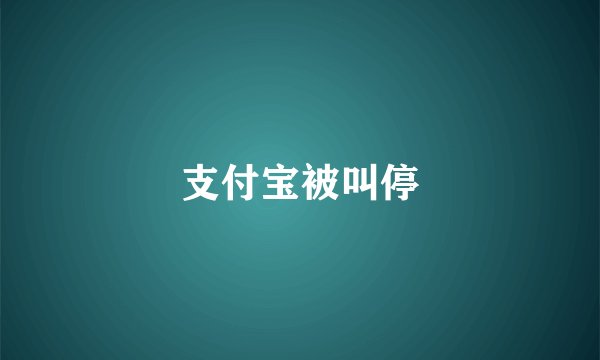 支付宝被叫停