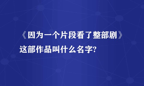 《因为一个片段看了整部剧》这部作品叫什么名字?