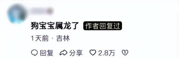 趣说春运返程：狗子在高速被堵到生下一窝狗崽！