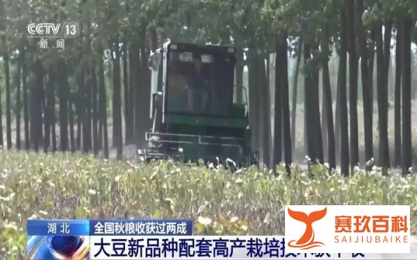 秋粮收获已过半 看各地良种良法保丰收