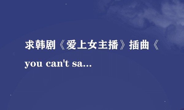 求韩剧《爱上女主播》插曲《you can't say》的中文翻译~