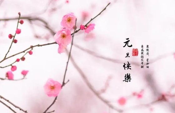 元旦宣传语5字