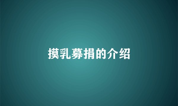 摸乳募捐的介绍