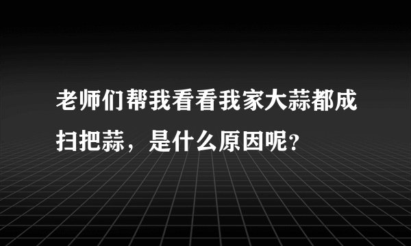 老师们帮我看看我家大蒜都成扫把蒜，是什么原因呢？
