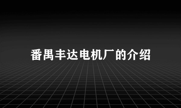 番禺丰达电机厂的介绍