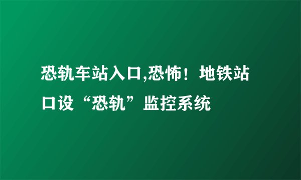 恐轨车站入口,恐怖！地铁站口设“恐轨”监控系统