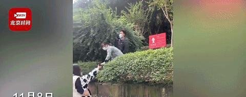 成都多人逃离疫情封控区?警方回应 这是咋情况？