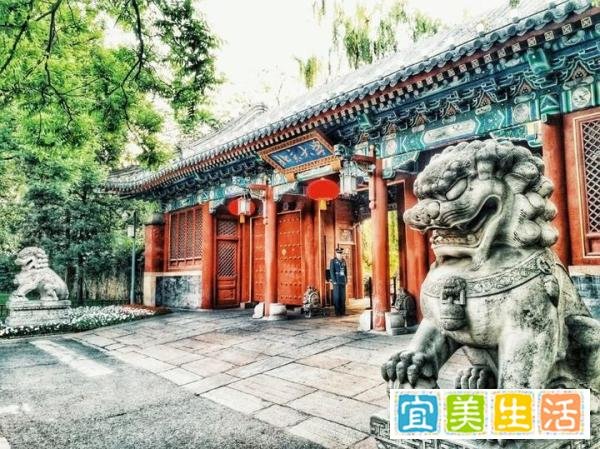 这两位河南考生三退四上，北京大学招生办因此挨批评，太不简单