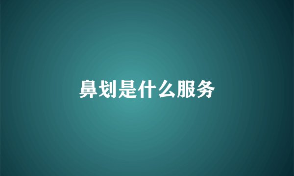 鼻划是什么服务