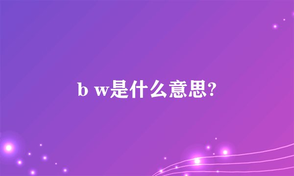 b w是什么意思?