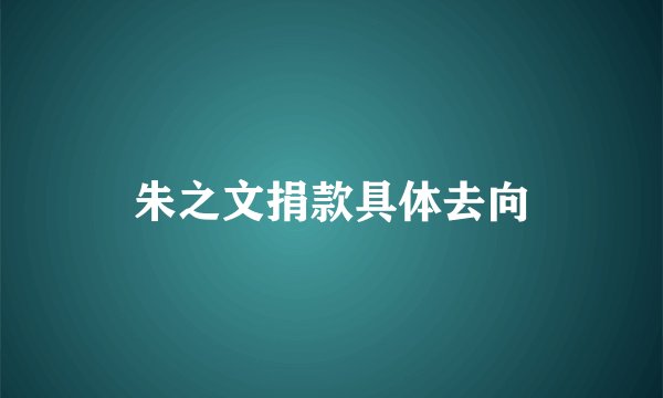 朱之文捐款具体去向