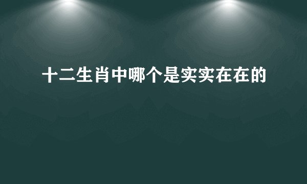 十二生肖中哪个是实实在在的