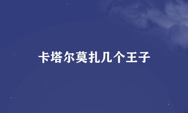卡塔尔莫扎几个王子