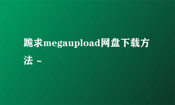 跪求megaupload网盘下载方法 ~