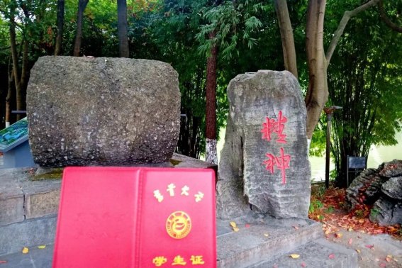 学校证明模板怎么写