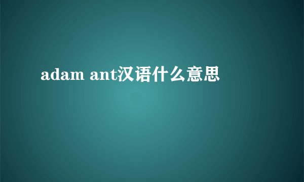 adam ant汉语什么意思