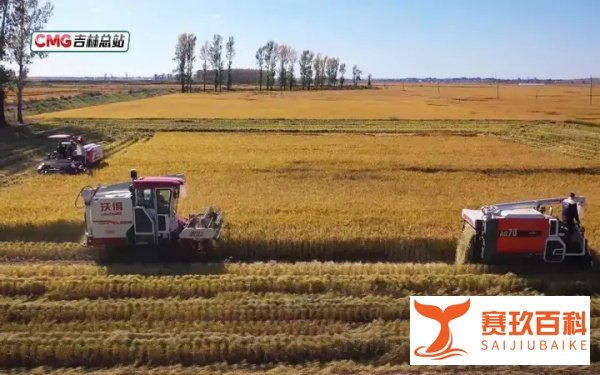 秋粮收获已过半 看各地良种良法保丰收